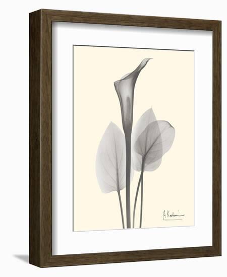 Flora Portrait 1-Albert Koetsier-Framed Art Print