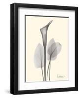 Flora Portrait 1-Albert Koetsier-Framed Art Print