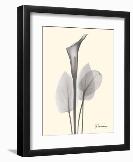 Flora Portrait 1-Albert Koetsier-Framed Art Print