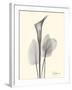 Flora Portrait 1-Albert Koetsier-Framed Art Print