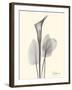 Flora Portrait 1-Albert Koetsier-Framed Art Print