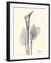 Flora Portrait 1-Albert Koetsier-Framed Art Print