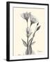 Flora Portrait 2-Albert Koetsier-Framed Art Print