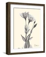 Flora Portrait 2-Albert Koetsier-Framed Art Print