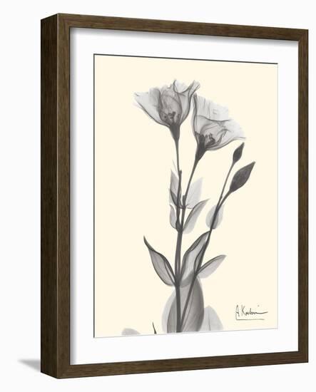 Flora Portrait 2-Albert Koetsier-Framed Art Print