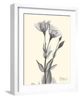 Flora Portrait 2-Albert Koetsier-Framed Art Print