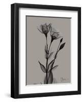 Flora Portrait B-Albert Koetsier-Framed Art Print