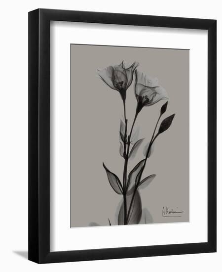 Flora Portrait B-Albert Koetsier-Framed Art Print