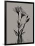 Flora Portrait B-Albert Koetsier-Framed Art Print