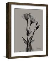 Flora Portrait B-Albert Koetsier-Framed Art Print