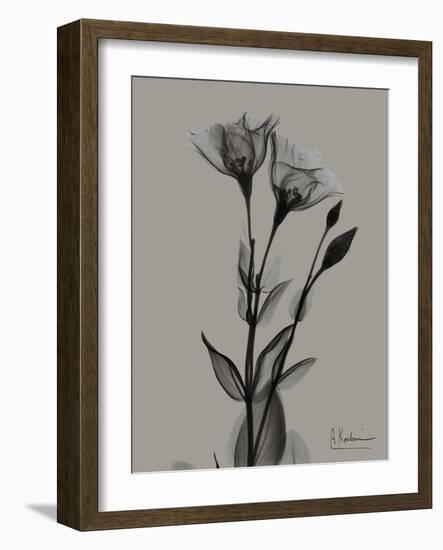 Flora Portrait B-Albert Koetsier-Framed Art Print