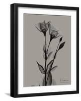 Flora Portrait B-Albert Koetsier-Framed Art Print