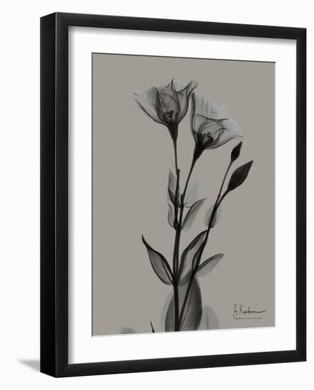 Flora Portrait B-Albert Koetsier-Framed Art Print