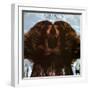 Flora Purim - Butterfly Dreams-null-Framed Art Print