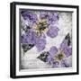 Flora Symphony 4-Diane Stimson-Framed Art Print