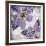 Flora Symphony 4-Diane Stimson-Framed Art Print