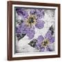 Flora Symphony 4-Diane Stimson-Framed Art Print