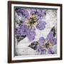 Flora Symphony 4-Diane Stimson-Framed Art Print