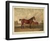 Flora Temple and Her Colt-null-Framed Giclee Print