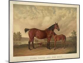 Flora Temple and Her Colt-null-Mounted Giclee Print