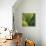 Flora Tropical - Fresh-Tony Koukos-Giclee Print displayed on a wall