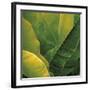 Flora Tropical - Fresh-Tony Koukos-Framed Giclee Print