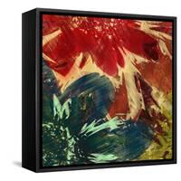 Floragraph II-James Burghardt-Framed Stretched Canvas