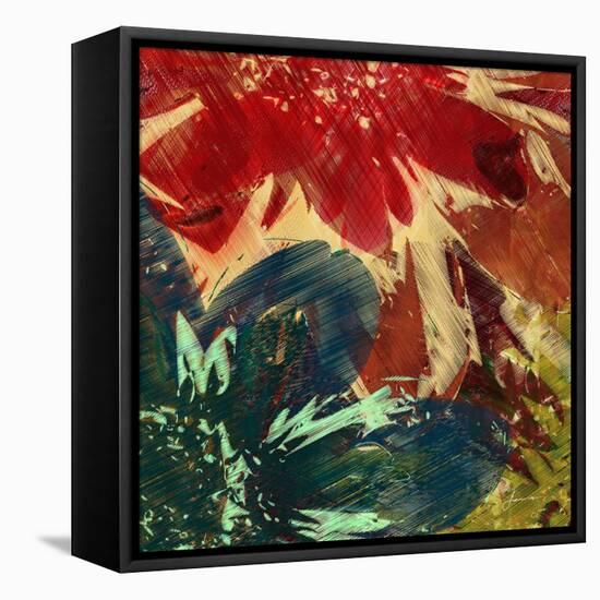 Floragraph II-James Burghardt-Framed Stretched Canvas