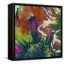 Floragraph III-James Burghardt-Framed Stretched Canvas