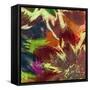 Floragraph IV-James Burghardt-Framed Stretched Canvas