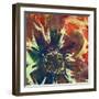 Floragraph V-James Burghardt-Framed Art Print
