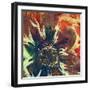 Floragraph V-James Burghardt-Framed Art Print