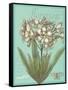 Floraison Nouveau 1-Devon Ross-Framed Stretched Canvas