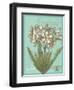 Floraison Nouveau 1-Devon Ross-Framed Art Print