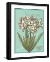 Floraison Nouveau 1-Devon Ross-Framed Art Print