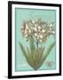 Floraison Nouveau 1-Devon Ross-Framed Art Print