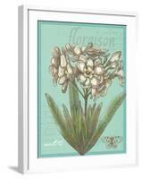 Floraison Nouveau 1-Devon Ross-Framed Art Print