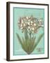 Floraison Nouveau 1-Devon Ross-Framed Art Print