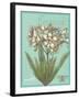 Floraison Nouveau 1-Devon Ross-Framed Art Print