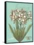 Floraison Nouveau 1-Devon Ross-Framed Stretched Canvas