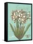 Floraison Nouveau 1-Devon Ross-Framed Stretched Canvas