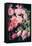 Floral 28-Incado-Framed Stretched Canvas