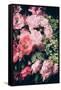 Floral 28-Incado-Framed Stretched Canvas