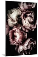 Floral 30-Incado-Mounted Art Print