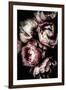 Floral 30-Incado-Framed Art Print