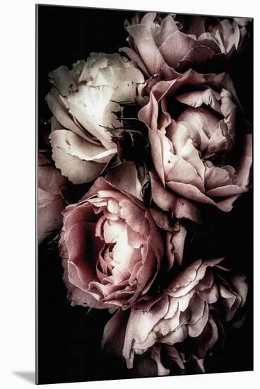 Floral 30-Incado-Mounted Art Print