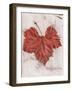Floral #31-Alan Blaustein-Framed Photographic Print