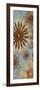 Floral Abstract I-Todd Williams-Framed Art Print