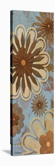 Floral Abstract I-Todd Williams-Stretched Canvas