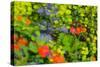 Floral abstract ll-Heidi Westum-Stretched Canvas